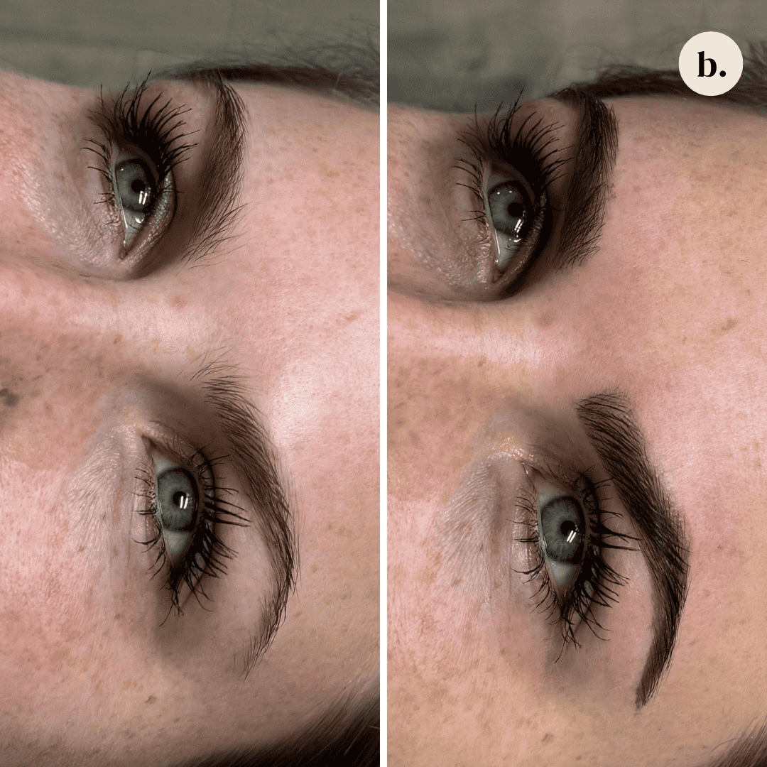 hybrid_brows_browstore